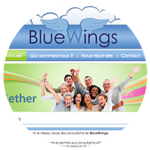 BlueGether corporate social network for the BlueWings engineering company